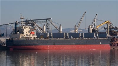 وصول 63 ألف طن قمح روسي لميناء سفاجا