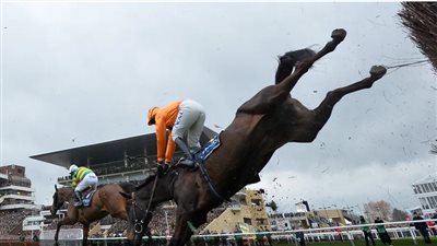 وفاة فارس بعد سقوطه عن صهوة جواده أثناء سباق في أستراليا 
