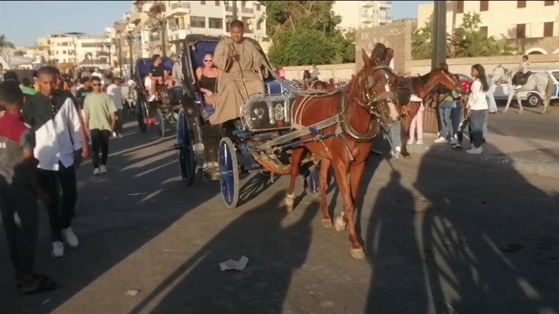 انتعاش السياحة في