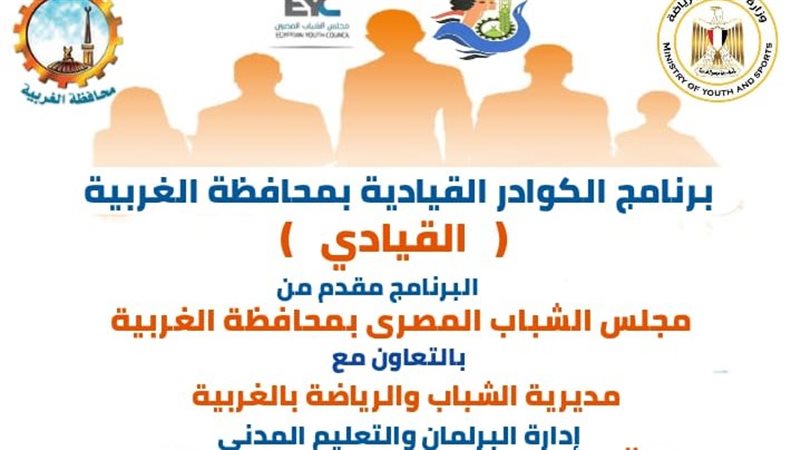 مجلس الشباب المصرى