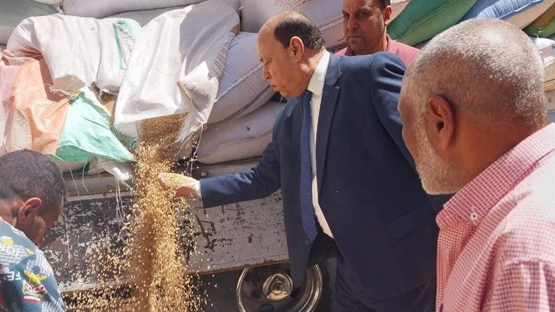  الغربية تحصد وتورد