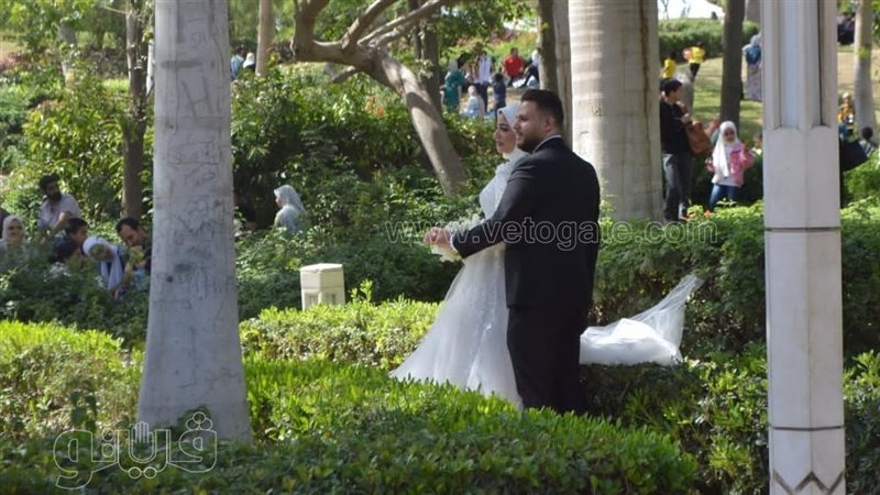 عروسان بحديقة الازهر،فيتو