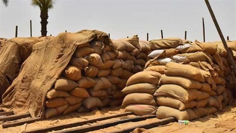 توريد القمح