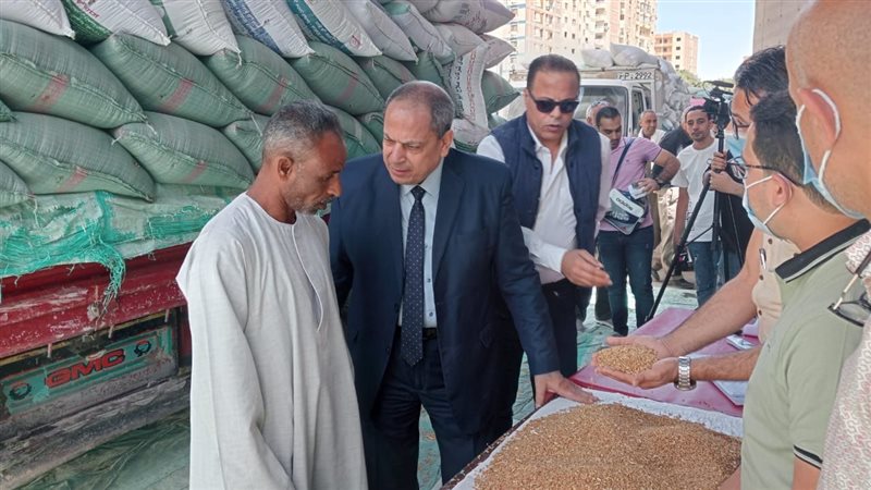 توريد القمح بالمنيا