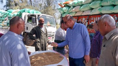 محافظ الدقهلية يتوقع توريد 490 ألف طن قمح طبقا للمساحات المنزرعة