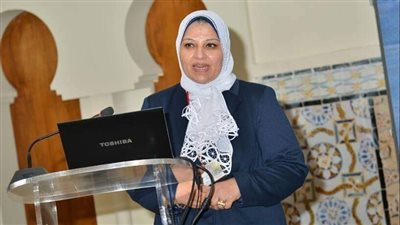 جهود كبيرة لتطوير شبكات نقل الكهرباء بشمال سيناء بقيادة صباح مشالي