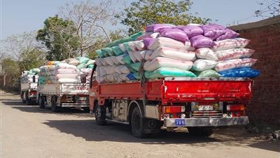 أقماح الشرقية: إقبال متزايد من المزارعين على توريد الأقماح