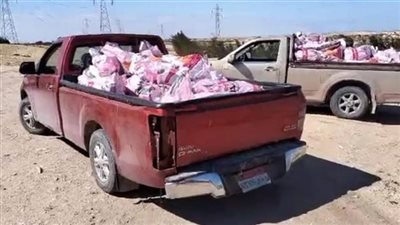 ضبط 1200 كجم دواجن ميتة غير صالحة للاستهلاك الآدمي قبل بيعها للمواطنين