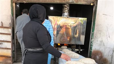 مصادرة 15 طن قمح ودقيق في حملات تموينية بالدقهلية 