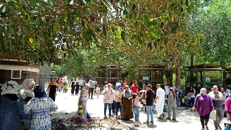 حديقة الحيوان،فيتو