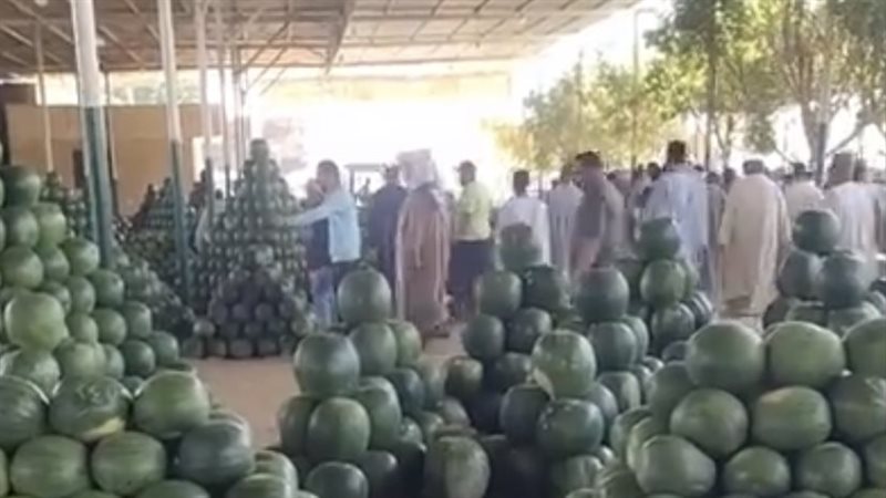 أسعار البطيخ في سوق