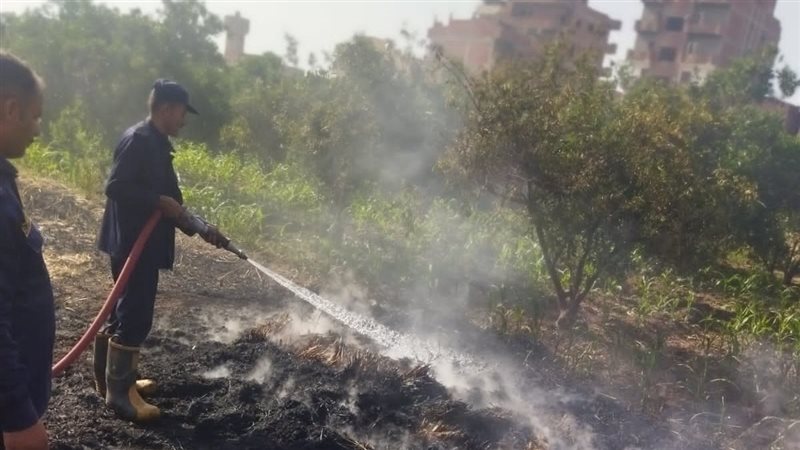 حريق المنوفية 