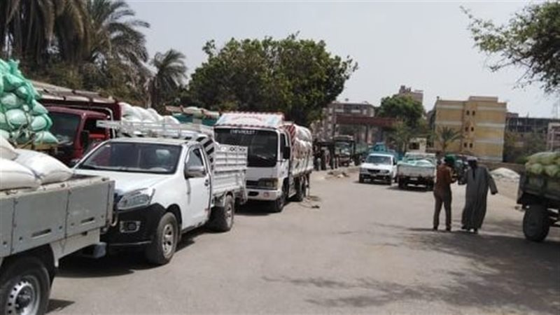 استلام القمح بصوامع