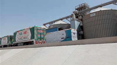 التموين: استلام 140 آلف طن قمح منذ بداية الموسم 