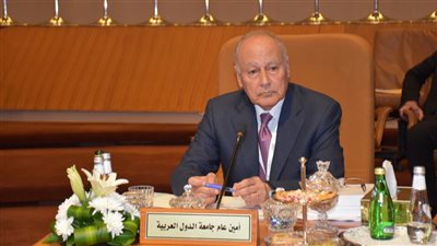 أبو الغيط يبحث أزمة السودان مع أمين عام منظمة التعاون الإسلامي