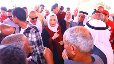 وزيرة التضامن تلتقي أسر شهداء بئر العبد وصيادي بحيرة البردويل