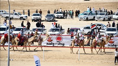 أشرف صبحي: ندعم التوسع في رياضة الهجن (صور) 