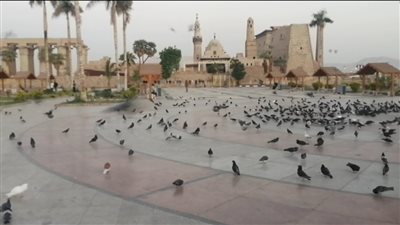 الحَمام يزين مسجد أبو الحجاج الأقصري بعد تطويره 