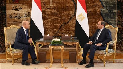 السيسي يبحث أزمات اليمن والسودان مع رؤساء مجلسي القيادة اليمني والأوروبي (فيديو)