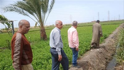 لجنة من قيادات الزراعة بالإسماعيلية تتابع محصول القطن بالقنطرة شرق (صور)