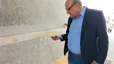 وكيلا التموين والزراعة بالإسكندرية يتابعان بداية موسم توريد القمح المحلي (صور) 