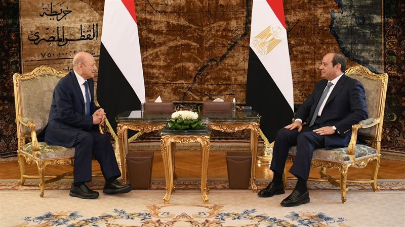 الرئيس السيسي ورشاد
