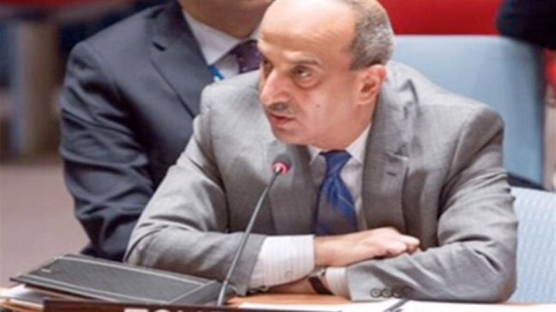 مندوب مصر لدي الأمم