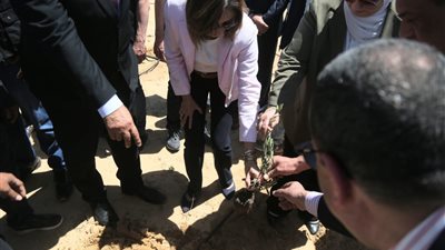 وزيرة الثقافة تشهد افتتاح عدد من المشروعات التنموية بالعريش والشيخ زويد