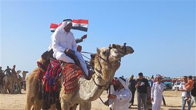 ختام فعاليات مهرجان الهجن العربي في مدينة العريش