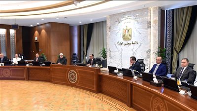 أبرز قرارات مجلس الوزراء الصادرة خلال أسبوع (إنفوجراف)