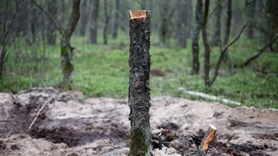 جسم عسكري غريب في بولندا يحيّر السلطات