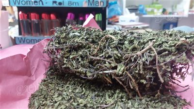 أنواع النعناع فى مطروح وأسعاره