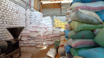 ضبط 9 أطنان قمح محلي قبل بيعها في السوق السوداء بالغربية