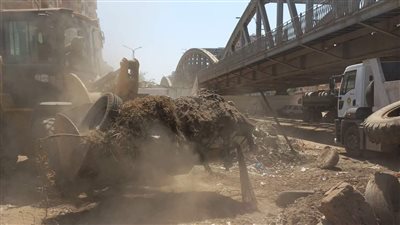 حملة مكبرة لنظافة ورفع مخلفات الهدم أسفل كوبري زفتى بميت غمر (صور) 