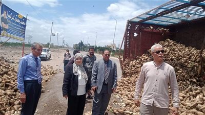 انقلاب جرار ينقل بنجر على طريق بلقاس في الدقهلية (صور) 