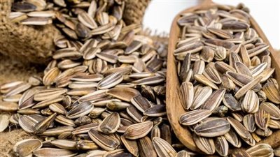 فوائد اللب السوري، تناوليه بدون ملح لأعلى فائدة