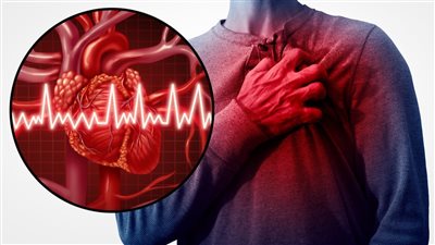 علماء يختبرون نظام جلطات لوقف النزيف الداخلي أثناء التعرض لحوادث سير