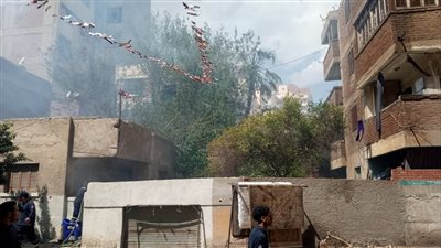 السيطرة على حريق مجموعة من الأشجار ببنها (صور) 