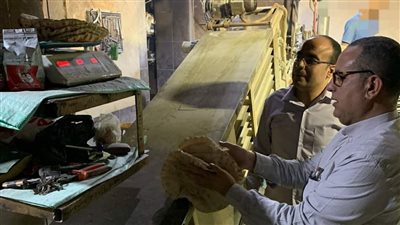 ضبط 9 مخابز مخالفة في حملات تموينية بأجا وميت غمر بالدقهلية 