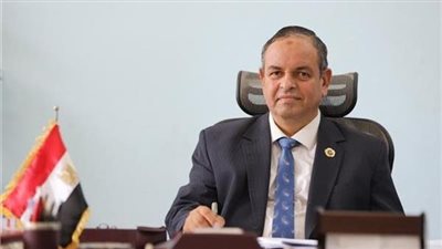 وزير المالية يقرر نقل الشحات غتوري من منصب رئيس مصلحة الجمارك