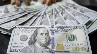 ضبط شخص لإتجاره في النقد الأجنبي بحلوان 