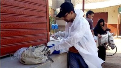 تحصين 115 ألف رأس ماشية ضد الحمى القلاعية والوادى المتصدع ببني سويف 