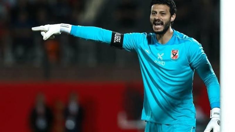 محمد الشناوي، فيتو
