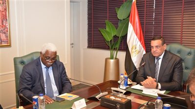 هشام آمنة: توجيهات رئاسية بمد جسور التعاون مع المنظمات والهيئات الأفريقية 