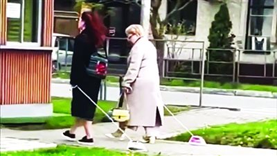 نزهة برفقة أدوات كهربائية بدلا من الكلاب والقطط