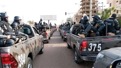 أبو طيرة، معلومات عن أحدث القوات المشاركة في قتال السودان