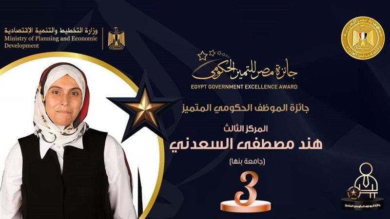 جائزة التميز الحكومي،