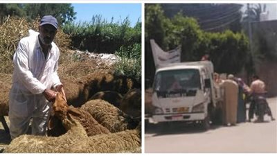 خدمات طبية وبيطرية تقدمها قافلة بمركز رشيد بالبحيرة