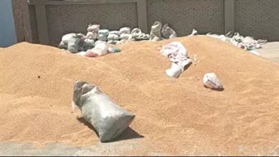 القبض على مدير مطحن فى مركز طهطا بحوزته 30 طن قمح محلي دون تصريح 