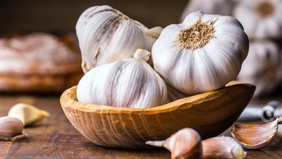 فوائد الثوم على الريق، مضاد حيوي طبيعي وصحي لمرضى الضغط